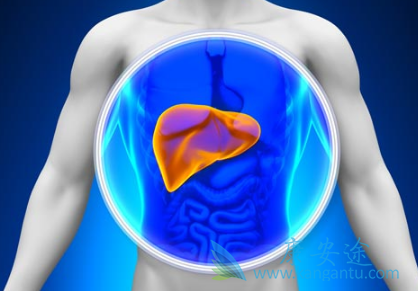 �Ҹδ���;��