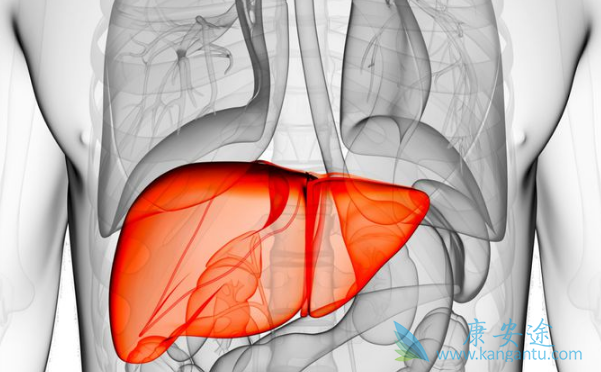 �Ҹ����縱����