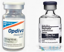 PD-1���Ƽ����ڷΰ���ǰ���Լ�������ϵͳ