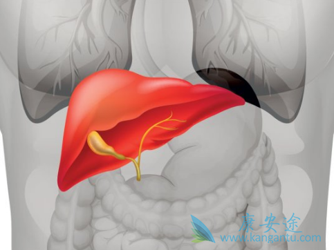 ʲô���Ҹβ���Я����