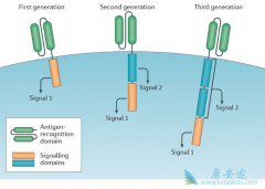 �Ͼ������ύ���й��׸�CAR-T�Ʒ��ٴ�����