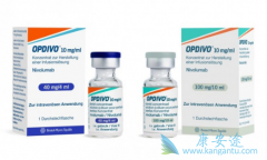 ������������е�PD-1�������й������ٴ�