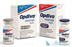 PD-1����Opdivo����Ϊÿ����ע��һ��