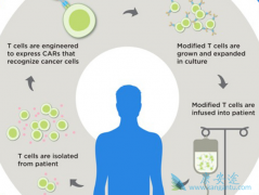 CAR-Tϸ�����ܸ������еİ�ϸ��