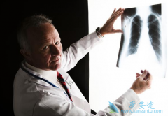 ��Ҷ�г�����Ȼ�����ڷΰ���������Ʒ���