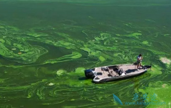 �й���֢���ͼ�иΰ����ֵ����ؽ���