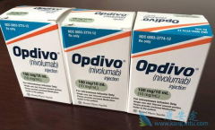 PD-1�����������������ڰ�֢�ܷ���Ч��?