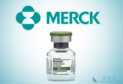 PD-1���Ƽ����ϻ���һ�����Ʒΰ�Ч�����ڵ�������