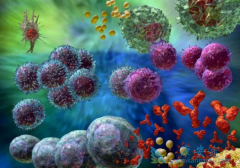 ���ڹ���CAR-Tϸ�������з�����ҵ�ͻ����ܶ�