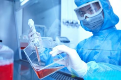 ����CAR-Tϸ���Ʒ��ĸ�����ר�����в�ͬ����