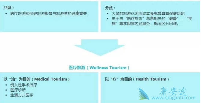 ҽ������