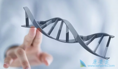 ��֢����ֶ���ѪҺ����׼ȷ����ʵ����