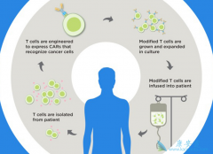 CAR-Tϸ���Ʒ��ڶ෢�Թ�����������ո¶ͷ��