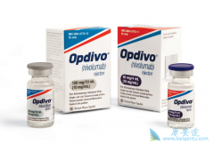 �뻯�����PD-1���Ƽ�nivolumab�ܹ��������ƶ����о��յ�