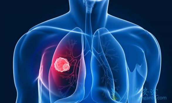 ٤�������Ʒΰ�