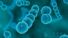 �����Ʒ����ӳ����ڻ��ƺ�Сϸ���ΰ�������  