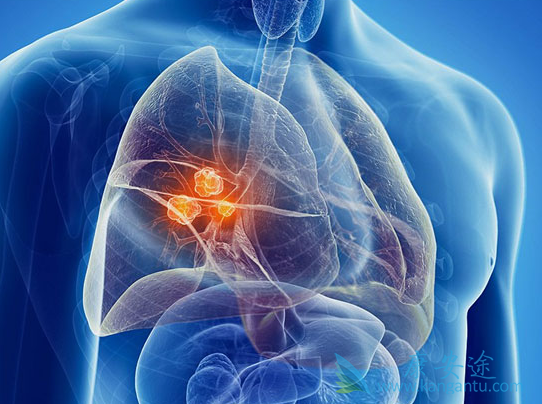 ��ɼ�����Ʒΰ�