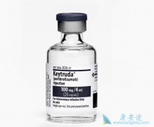 PD-1���Ƽ�Keytruda���Ʒΰ��������ڷ���