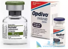 PD-1�������ϻ��ƶԷΰ��Ŀ����ʸߴ�100%