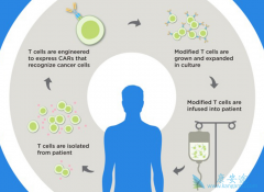 ���͵�CAR-Tϸ�������Ʒ������������Ƹ�����