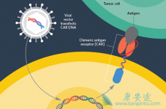 ����ʹ��ŵ��CAR-T�Ʒ�kymriah������һ�θ���47.5����Ԫ