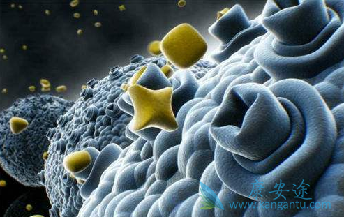 ��֢���Ǿ�֢