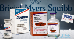 PD-1���Ƽ�Opdivo��֤ʵ�����й��ΰ�������Ч