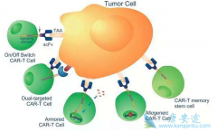 CAR-T����������Ӧ֢��ͨ�������и���չ