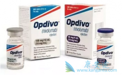 Opdivo(PD-1)������ƥľ�ʺ�TMB����10�Ļ���