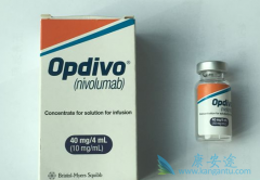 PD-1���䵥����������ڷΰ���������������