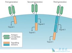����FDA��׼ŵ��CAR-T�Ʒ�Kymriah��CTL-019������