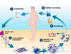 CRS��CAR-Tϸ�����Ʒ�����������ز�����Ӧ