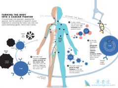 ŵ��CAR-T�Ʒ�CTL-019�������ר��ȫƱͨ��