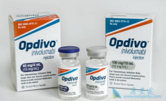 ��ʱ��ʩ��Opdivo��ȫ���׸����е�PD-1����ҩ��