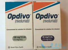 ���ڿ��г�NSCLC����Ҳ�ɴ�PD-1����������