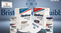 BMS�Ѿ����й��ύ��PD-1���Ƽ�nivolumab����������