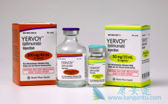 ����PD-1/PD-L1������ҩ����о���չ