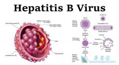 Ϊʲô��Щ��ע���Ҹ�����󲻲�������