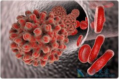 ���������������Ⱥ�����Ҹ����粻���������