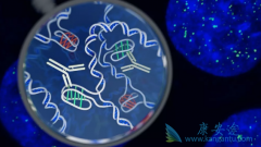 ����CAR-T�Ʒ��԰�֢���߻����ȫ��Ч