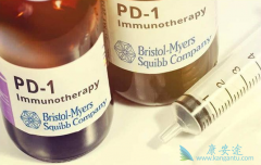 �ΰ���ɱ��PD-1���Ƽ������Ч�밲ȫ��