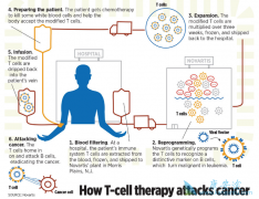 ŵ��CAR-Tϸ�����Ʒ���KYMRIAH��������������Ч����ģʽ