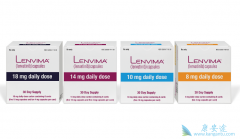 �ַ������ѱ���׼�����������ڼ�״�ٰ�������