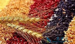 ���ܻ��ƺͷ��Ƶķΰ����˵���ʳע������