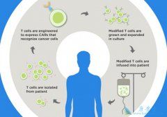 ����FDA������ŵ��CAR-Tϸ�����Ʒ���KYMRIAH����Ӧ֢