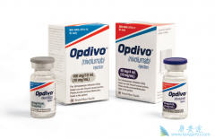 �ΰ�����һ������ѡ��PD-1���Ƽ�Ч�����ڻ���