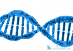 CAR-T�Ʒ���Ϊ�����ܰ������ߴ����������