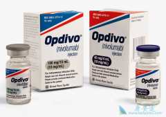 Ŀǰ��������PD-1���Ƽ����й��ύ����������