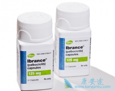 ����������ȫ���׸����е�ϸ�������������Լ�ø���Ƽ�