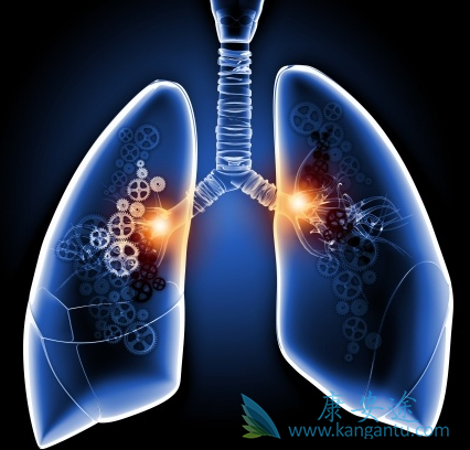 �ΰ����Ƶĸ�����